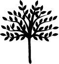 HeideWaldmäuse